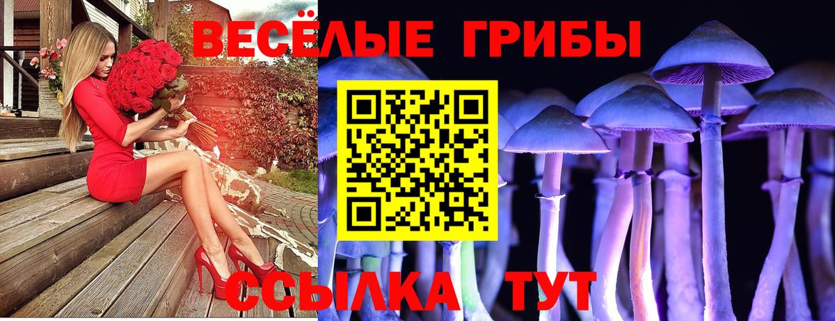 Галлюциногенные грибы GOLDEN TEACHER  Вход с VPN  как найти   Нижневартовск 